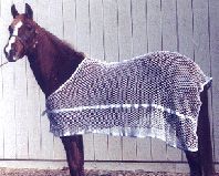 [ Guardian Anti Sweat Sheet - AS ]