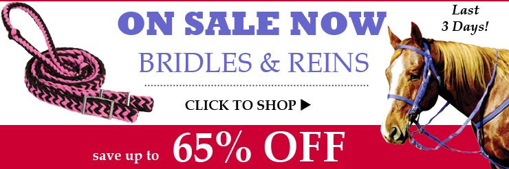 Save on Riding Helmets!