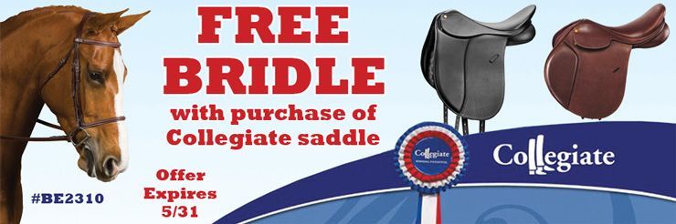 Free Bridle With Saddle Purchase!