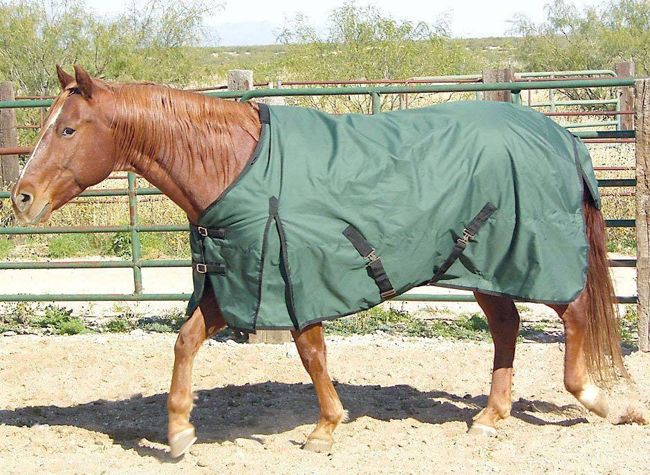 Saddles Tack Horse Supplies FreeRunner Waterproof