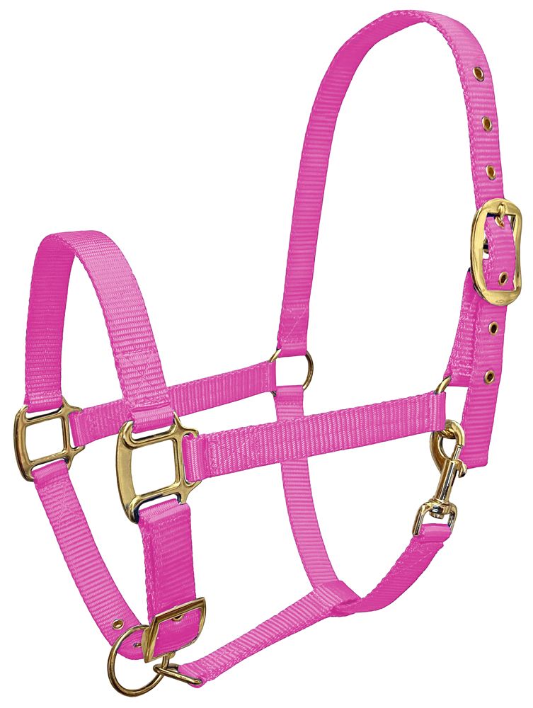 Saddles Tack Horse Supplies Guardian Premium Nylon