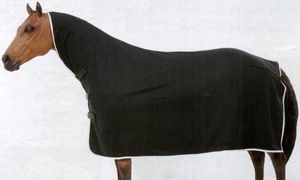 Polar Softfleece Contoured Cooler