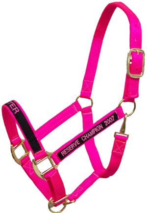 Personalized Monogrammed Nylon Halter