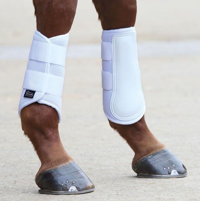 Saddles Tack Horse Supplies Shires Neoprene Splint