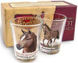 American Expedition Shot Glass Set