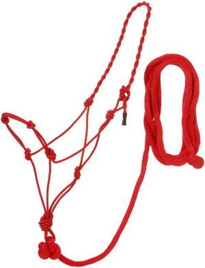 Twisted Crown Knotted Training Halter