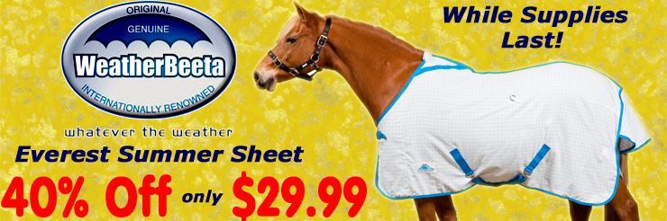 Weatherbeeta Summer Sheets - only $29.99!