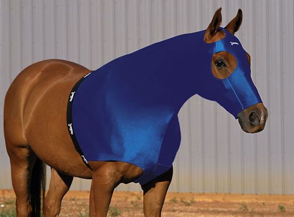 Saddles Tack Horse Supplies Sleazy Sleepwear Lycra