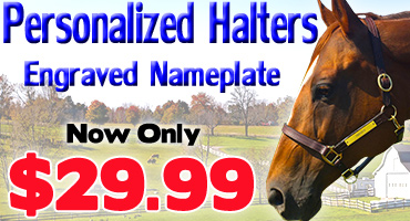 Personalized Halters - Now only $29.99