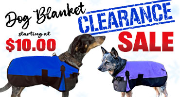 Elastic Leg Straps for Blankets: Chicks Discount Saddlery
