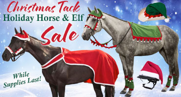 Holiday Horse Tack - in Stock Now!