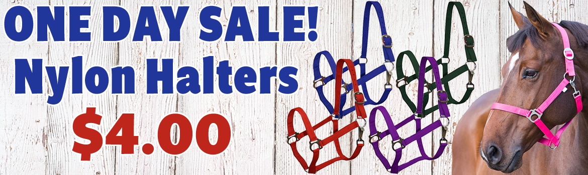 Nylon  Halters $4.00 - One Day Sale!