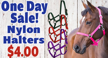 Nylon  Halters $4.00 - One Day Sale!