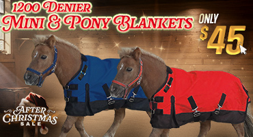 1200 Denier Mini & Pony Blankets $45