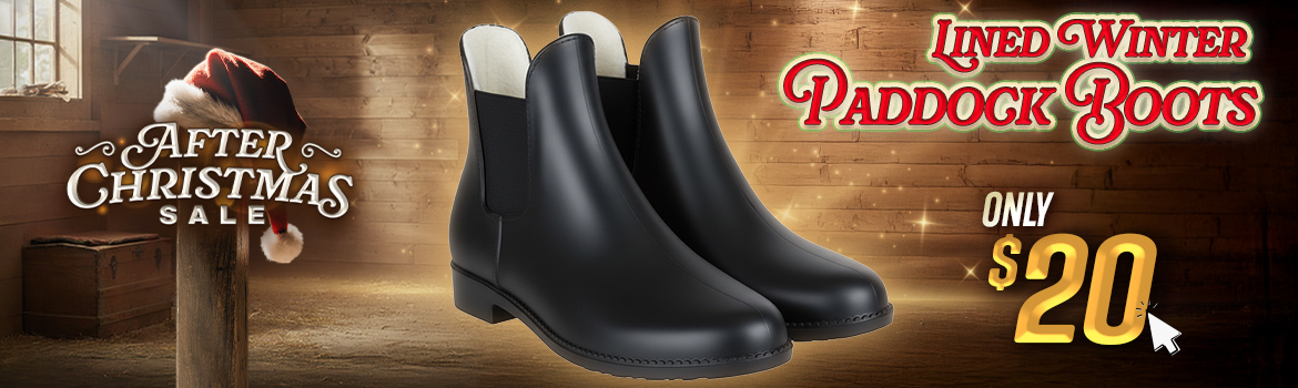 Winter Paddock Boots $20