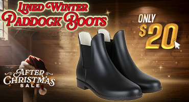 Winter Paddock Boots $20