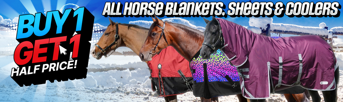 All Horse Blankets - Buy 1 Get 1 Half Price!