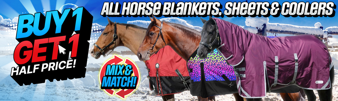 All Horse Blankets - Buy 1 Get 1 Half Price!