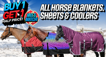 All Horse Blankets - Buy 1 Get 1 Half Price!