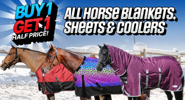 All Horse Blankets - Buy 1 Get 1 Half Price!
