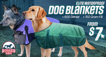 Horse Blankets for Dogs from $7.00