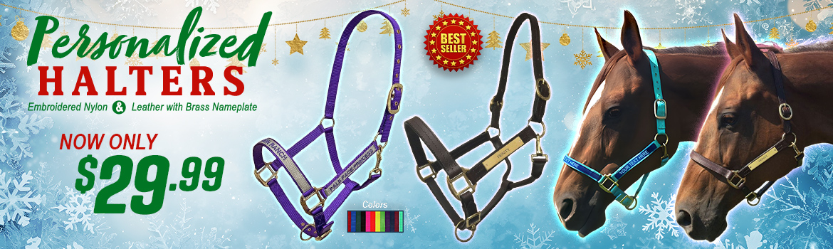 Personalized Halters - in time for the Holidays - $29.99