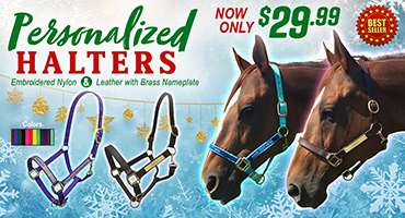 Personalized Halters - in time for the Holidays - $29.99