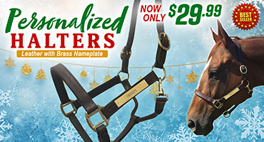 Personalized Halters - in time for the Holidays - $29.99
