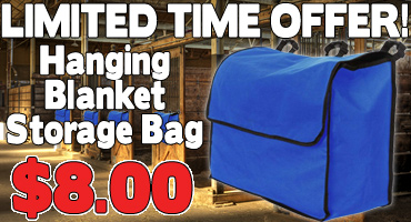 Blanket Storage Bags $8.00