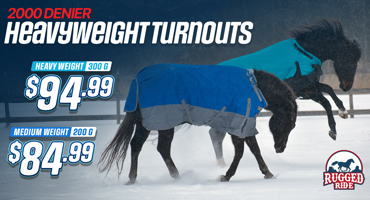 2000 Denier Heavyweight Turnout Blankets from $84.99