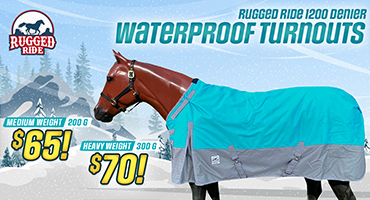 1200 Denier Turnout Blankets from $65