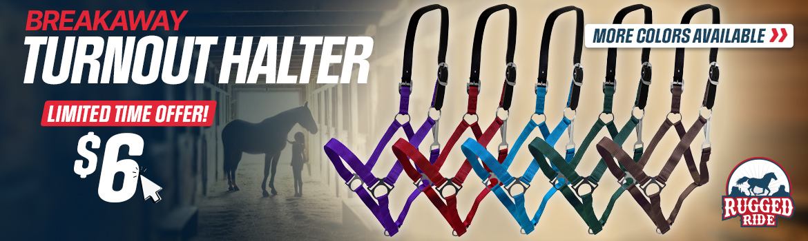 Breakaway Turnout Halter $6.00 One Day Sale