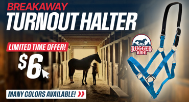 Breakaway Turnout Halter $6.00 One Day Sale