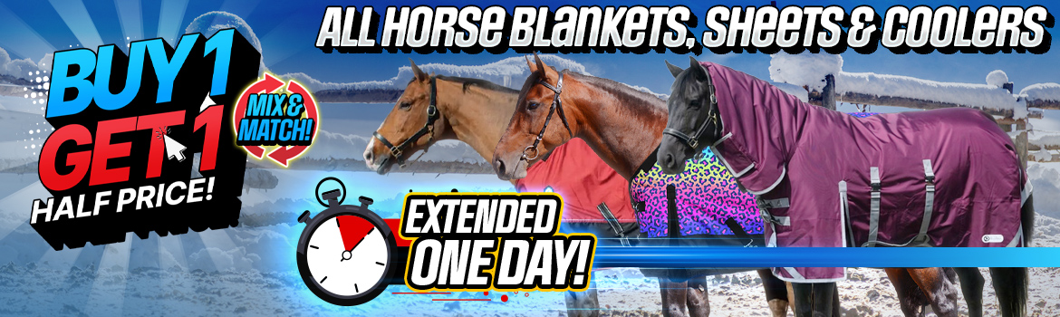 All Horse Blankets - Buy 1 Get 1 Half Price!