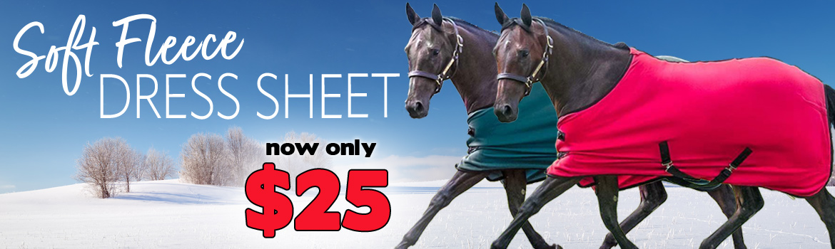 Fleece Dress Sheets $25