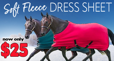 Fleece Dress Sheets $25