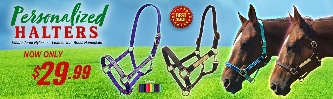 Personalized Halters - now only $34.99