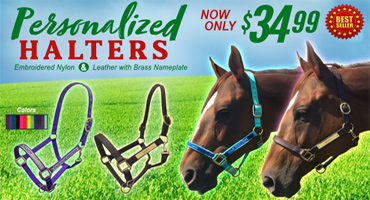 Personalized Halters - now only $34.99