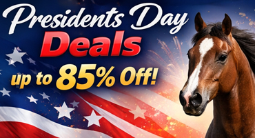 Presidents Day Sale