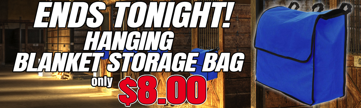 $8.00 Blanket Storage Bag Sale Ends Tonight