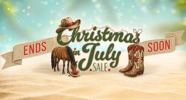 Christmas in July - up to 85% Off Ends Soon!