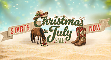 Christmas in July - up to 85% Off Starts Now!