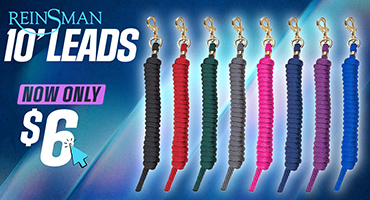 Reinsman 10' Nylon Leads - now only $6.00