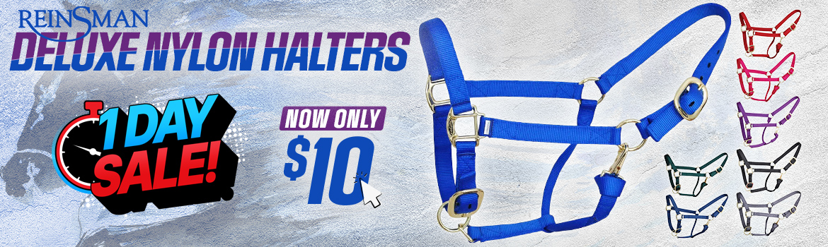 Reinsman Deluxe Nylon Halter $10 - One Day Sale!
