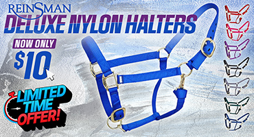 Reinsman Deluxe Nylon Halter $10 - One Day Sale!