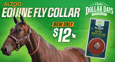 Alzoo Equine Fly Collar - $12 - Dollar Days