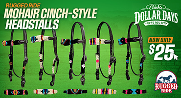 Cinch Style Headstalls $25