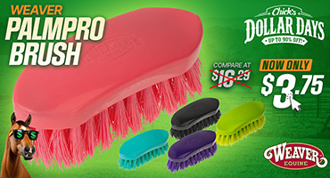 Weaver PalmPro Brushes $3.75 - Dollar Days Deals