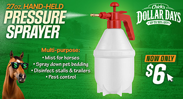 Pressure Sprayer $6 - Dollar Days Deal