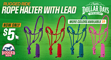 Rugged Ride Rope Halter with Lead $5.00 - Dollar Days Deal